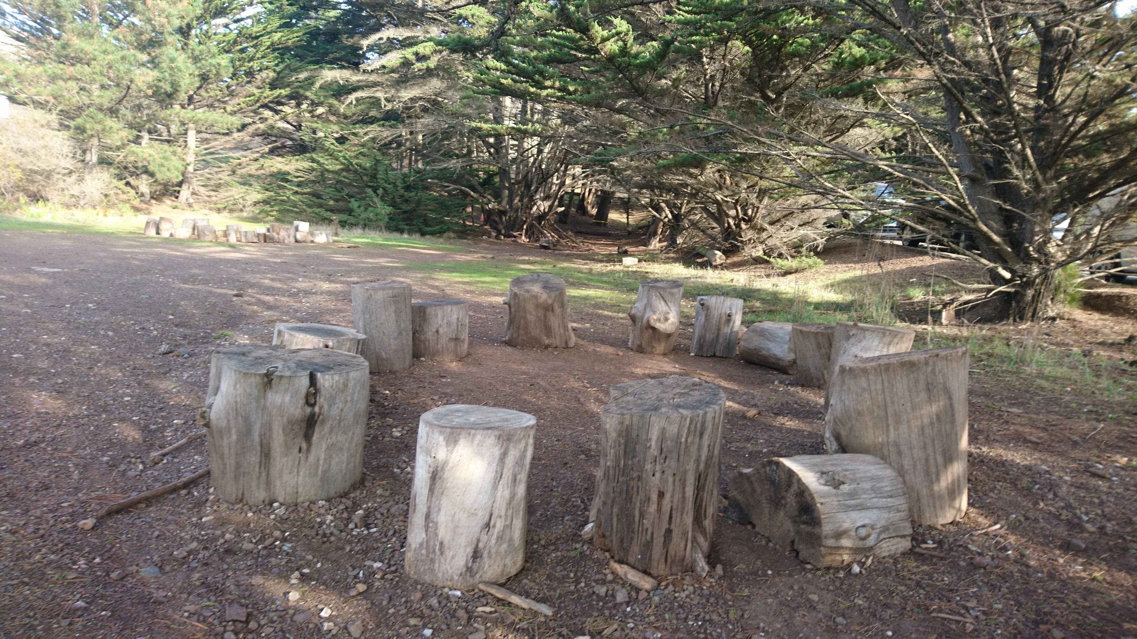 Photo of several seats made of stumps in a ring